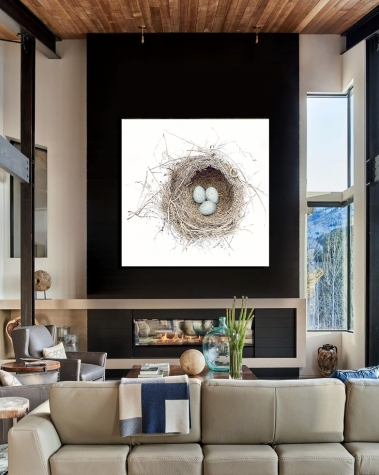 Mountain Modern with Nest Perta photo by David Patterson